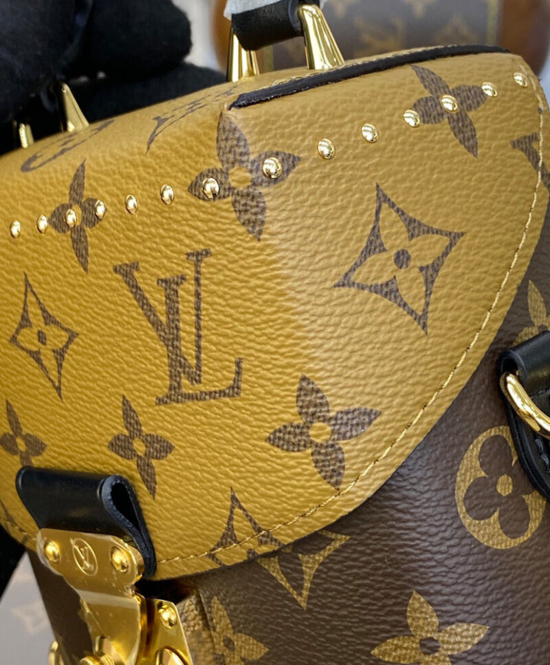 Louis Vuitton Camera Box M82465 Brown